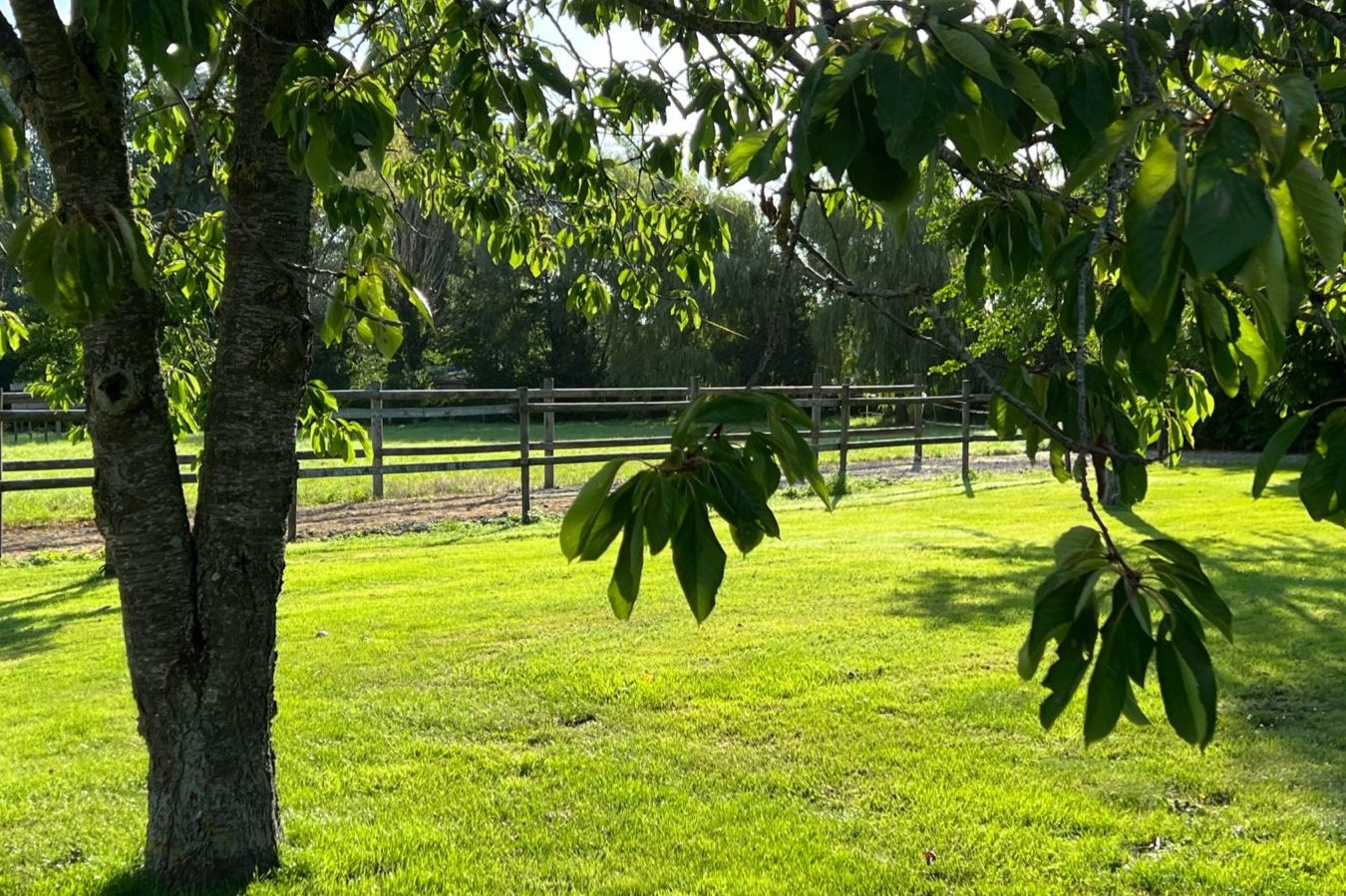 jardin Zi Villa feuillage