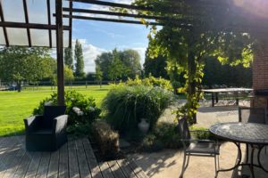 jardin vu depuis le patio