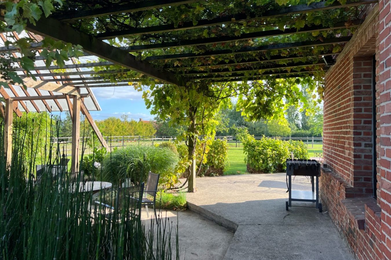 Patio sous vigne