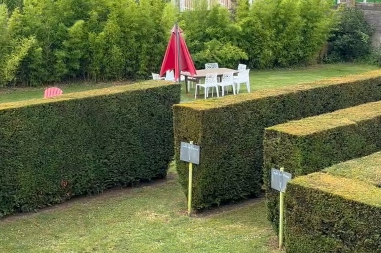 Jardin Les Bambous depuis le balcon